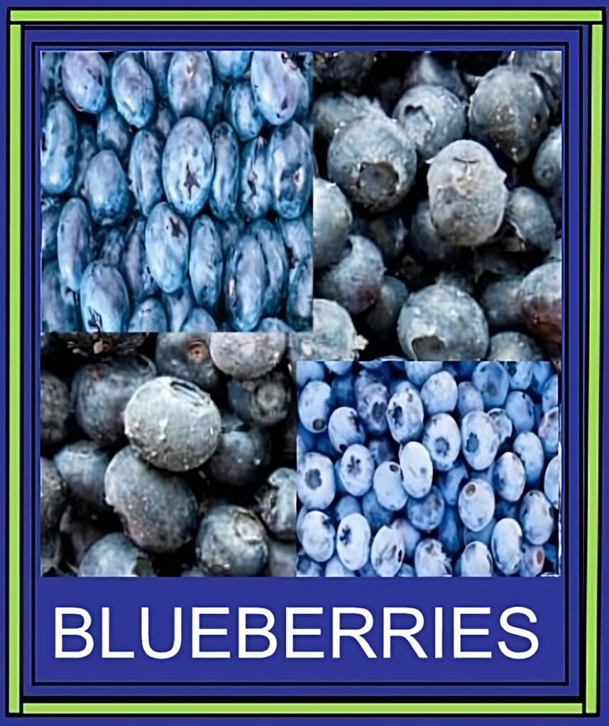 Blueberries are a great nutrition source for losing weight.