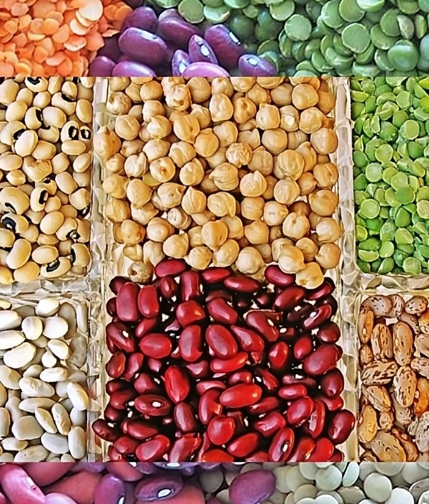 Legumes, The Mediterranean Diet super foods highest in fiber.