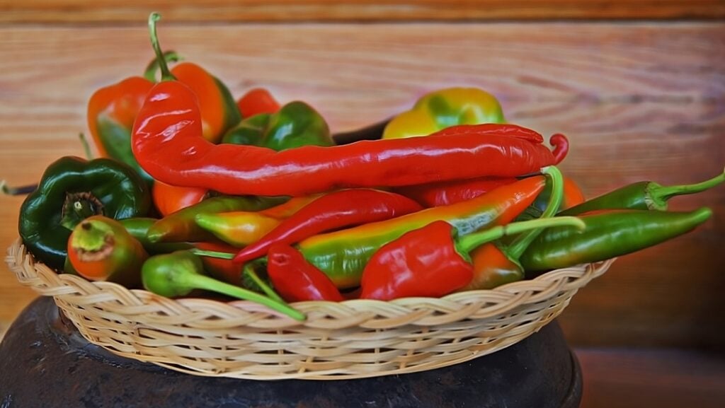 Peppers for salsa recipe.