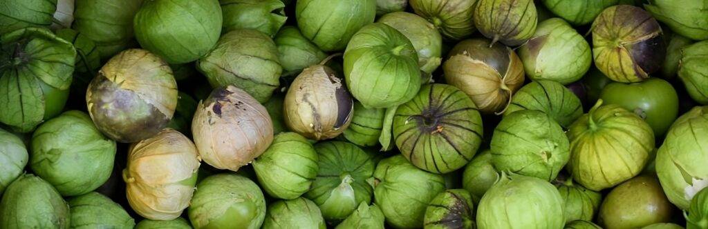 Tomatillo